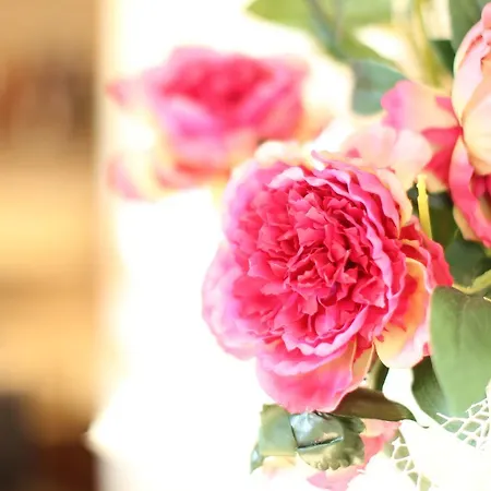 Internazionale Hotel Bellaria-Igea Marina