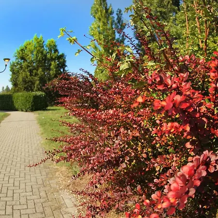 Hotel Internazionale 3*