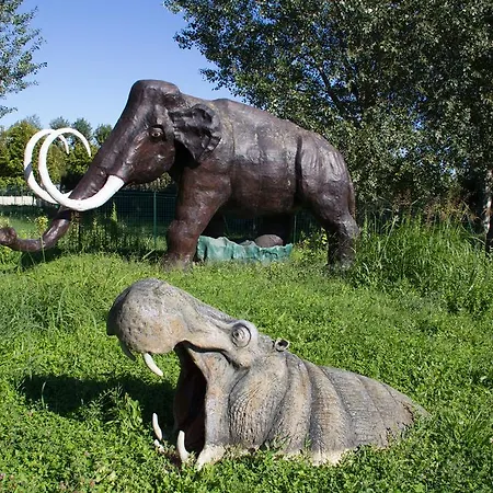 Internazionale 3* Bellaria-Igea Marina