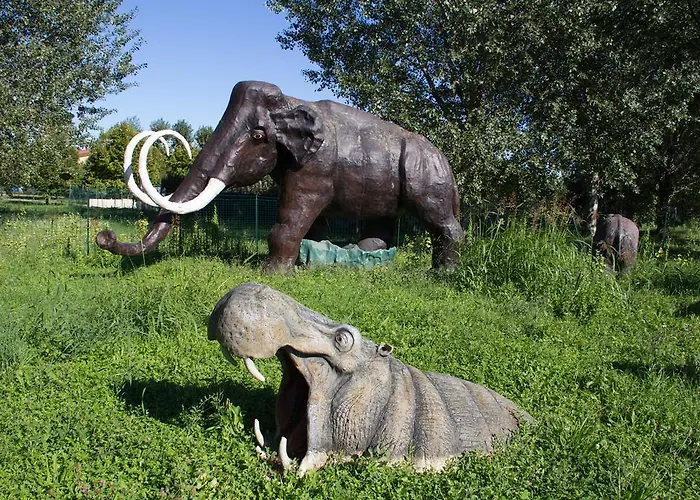 Internazionale 3* 벨레지아아지마리나