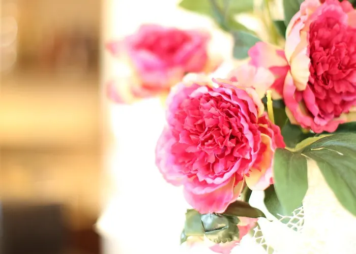 Internazionale 호텔 벨레지아아지마리나