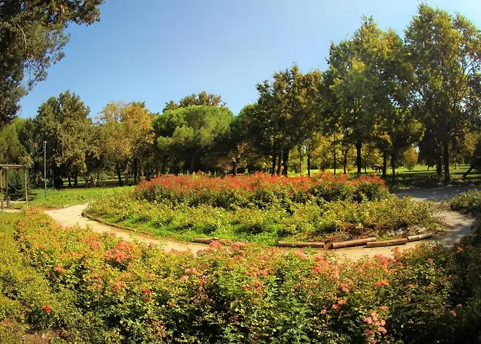 호텔 Internazionale 3*