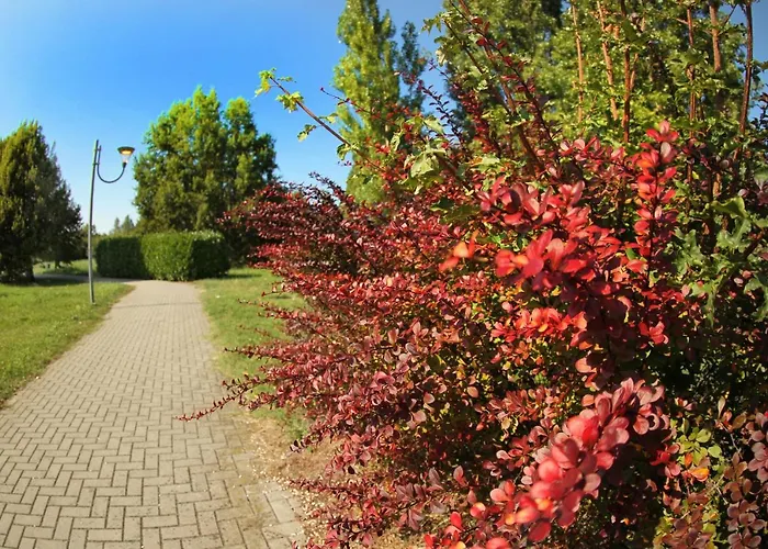 호텔 Internazionale 3*